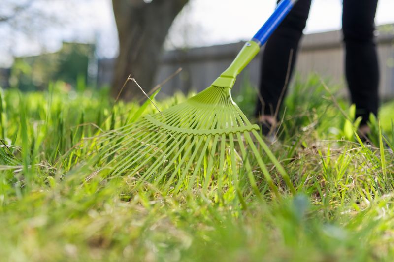 Inside Power Raking - Blades