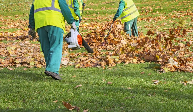 Fall Leaf Removal Equipment