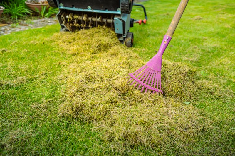 Lawn Recovery Process