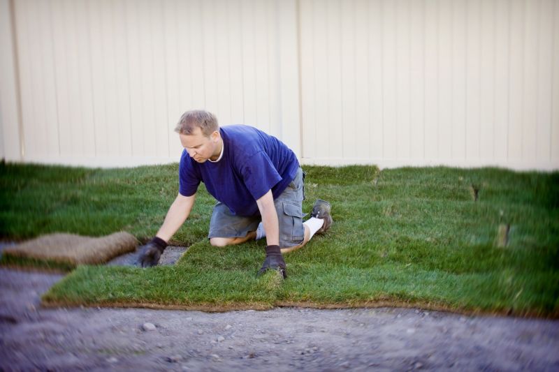 Yard Sod Replacement in Honolulu, HI