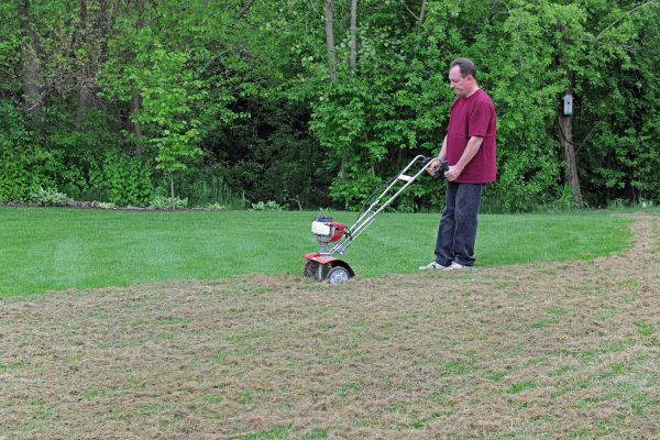 Grass Power Raking