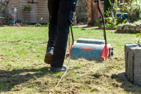 Yard Power Raking - Yard Power Raking Modesto, California