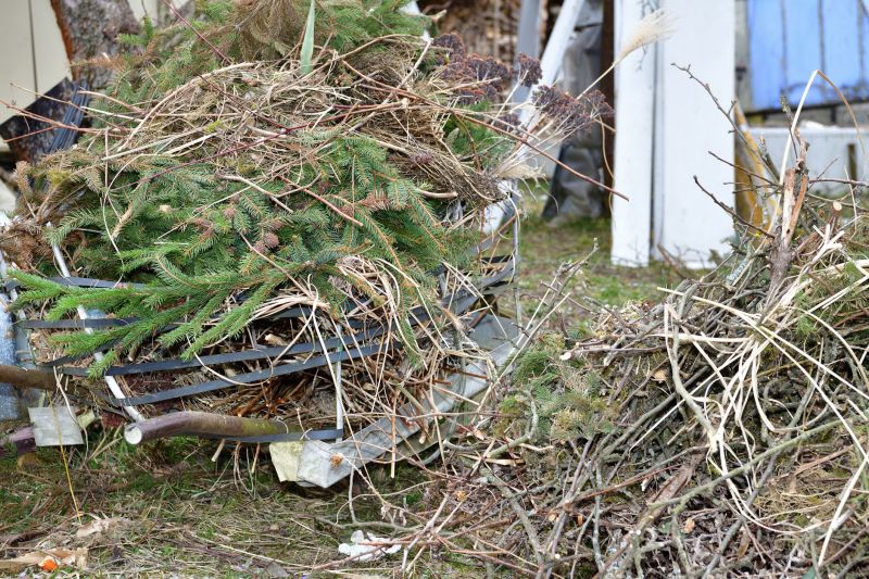Inside Power Raking - Debris Collection